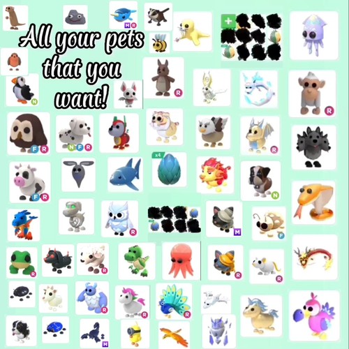 Adopt pets - adopt,