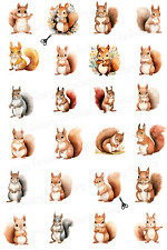 Topper per muffin scoiattolo