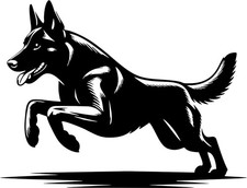 Adesivo MALINOIS adesivo auto
