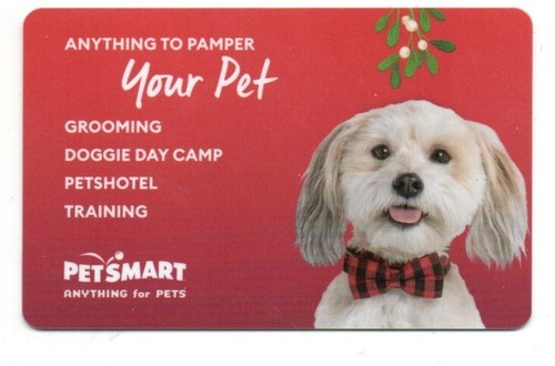 Petsmart cute dog mistletoe - cute,