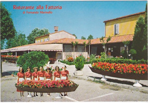 Cavallino venezia union - -,