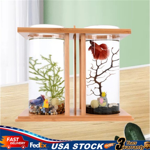 Betta fish tank - betta, mini