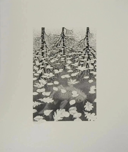 Escher autunno e carpa - m.c.,