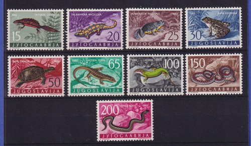 Jugoslavia 1962 anfibi - , e
