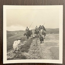 Rara Foto (cm 9x9) Agrigento - Santo Stefano Quisquina - Pastori nel 1935