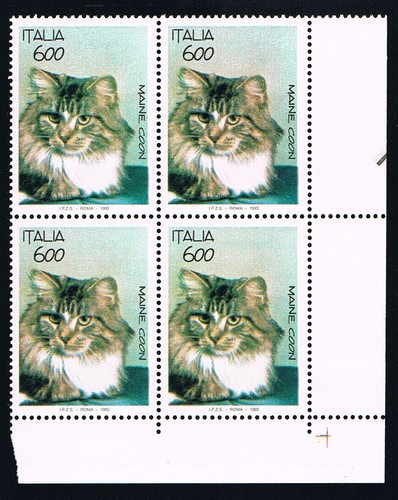 Italia quartina animali - 1,