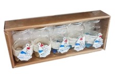 x 5 Pz Bottiglietta Vetro