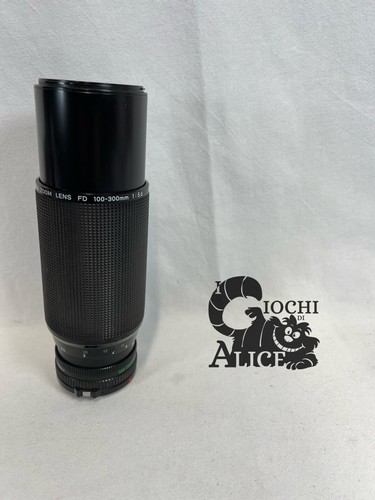 Canon zoom lens - zoom,