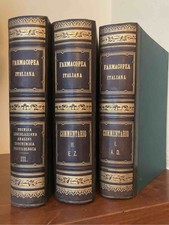 Guareschi I. Commentario della