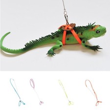 Guinzaglio imbracatura drago