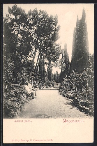 Massandra viale con alberi ad - massandra,,