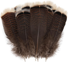 Daieeparty 12 pezzi piume di