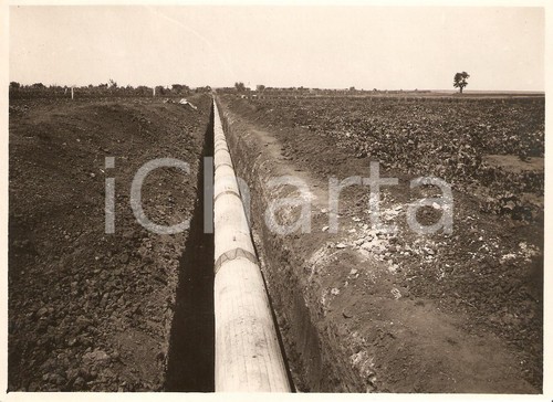1931 san nicandro - ca,
