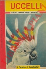 Ornitologia - Uccelli.