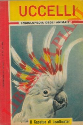 Ornitologia uccelli - ornitologia, uccelli.