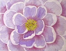 PITTURA ACQUERELLO 11X14 E