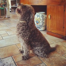 Scrivania antica con cristallo