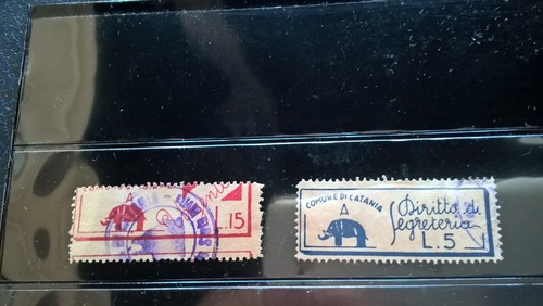 1950 repubblica splendide - splendide, 2