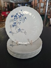 Pittini Da Dolce Di