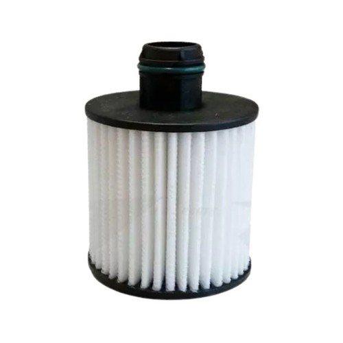 Filtro olio motore - olio,