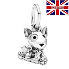 Charm Bull Terrier inglese