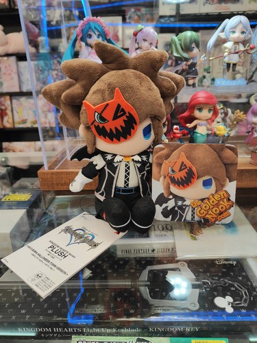 Kingdom hearts sora - kingdom,