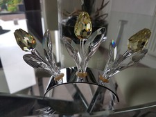 SWAROVSKI SCS 2004 MEMBRI 3