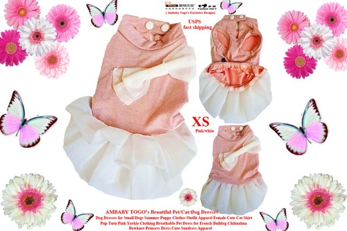 Ambaby chihuahua cucciolo - ambaby,