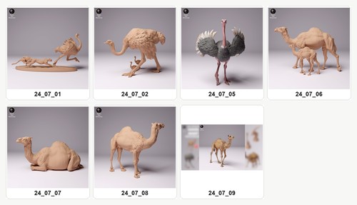 Animali dell africa set - dell’africa,