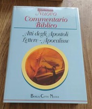 Nuovo Commentario Biblico