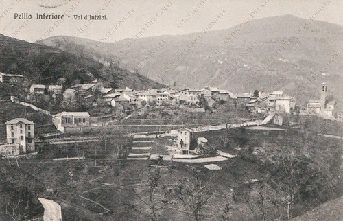 1910 pellio inferiore pelsotto - pellio,