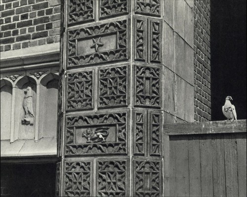 1962 1972 andre kertesz - 1972,