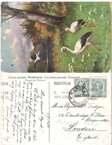 Italia 1908 cartolina - italia, 5