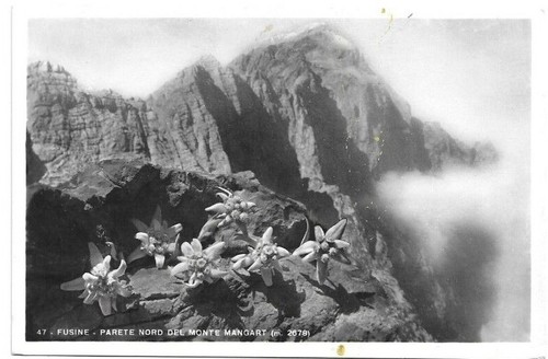 Cartolina udine fusine - cartolina, di