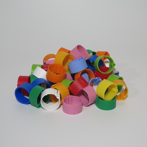 Anelli clip mm - 50,
