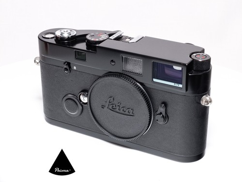 Leica carte vernice - mp,