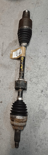 Semialbero ant compl dx - ant., compl.
