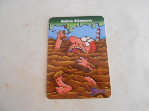 Figurina card skifidol - card,