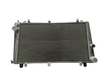 Radiatore in alluminio