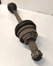 1401069888 Semialbero ant
