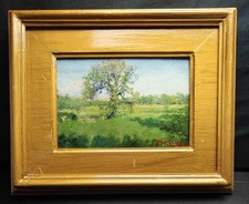 Ugo Gheduzzi (1853-1925)