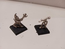 WARHAMMER FANTASY - ESERCITO CAOS WARRIOR  2 FAMIGLI DEL CAOS