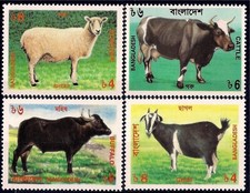 Bangladesh 1997 bovini - bangladesh,