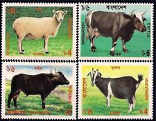 Bangladesh 1997 bovini pecore capre bufalo allevamento animali natura set 4v MNH