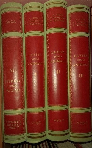 Vita degli animali 4 - vita, (4