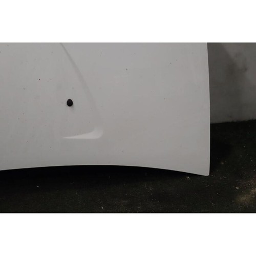 Cofano ant dacia - ant., sandero