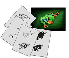 AS-188 Frog modello stencil