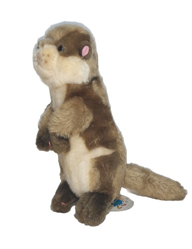 Peluche lontra mare - lontra, di
