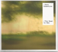 SARO COSENTINO - The road to