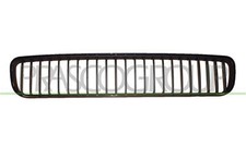 GRIGLIA CENTRALE PARAURTI